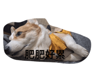 796819148