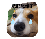 796819150