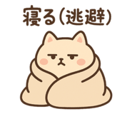 796831242