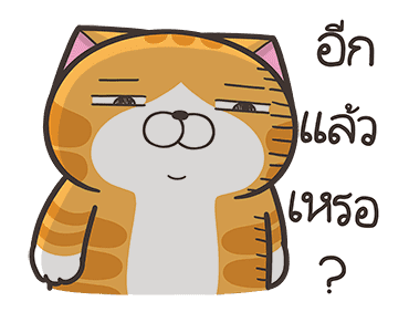 ลายที่ 11