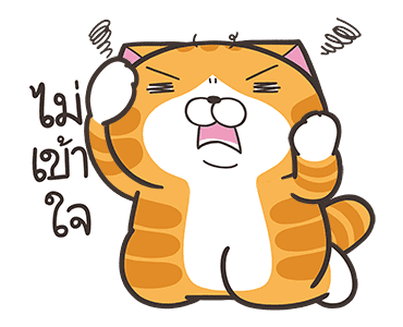 ลายที่ 13