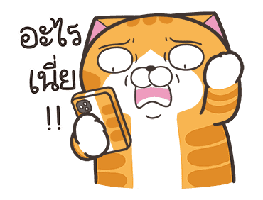 ลายที่ 15