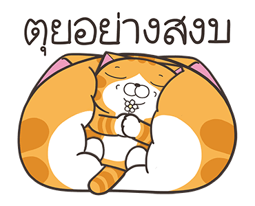 ลายที่ 19