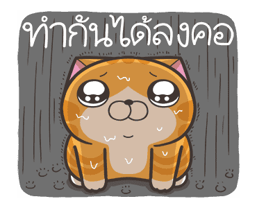 ลายที่ 21