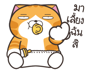 ลายที่ 25