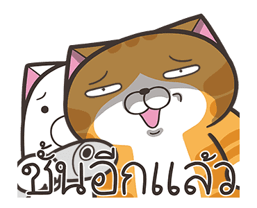 ลายที่ 27