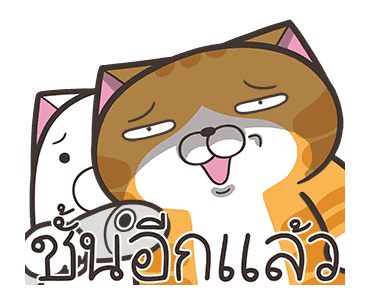 เหมียวซ่า: แสบซน รูปที่ 14