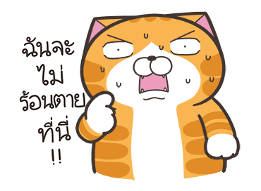 ลายที่ 31