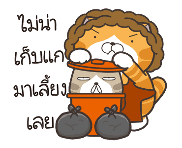 ลายที่ 45