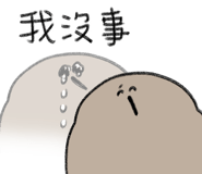 796842403