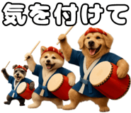 796854381