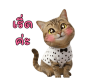 796860297