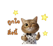 796860305