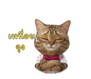 796860308