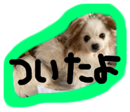 796869209
