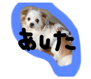 796869211