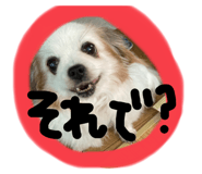 796869215