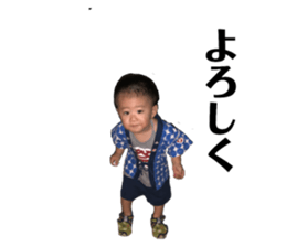 79688162