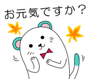 796885180