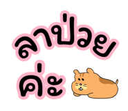 796887933