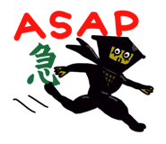 796893331