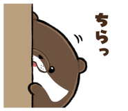 796893958