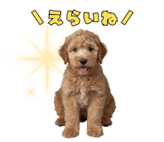 796897299