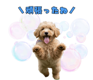 796897307