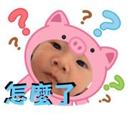 796897621