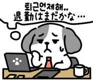 796903499
