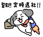 796903500