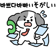 796903518
