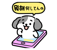 796903547