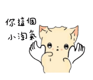 796904560