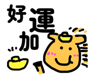 796906504