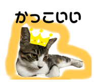 796943635