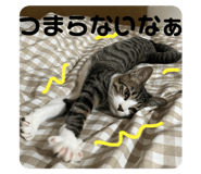 796943638