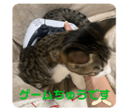 796943640