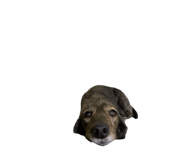 796950149