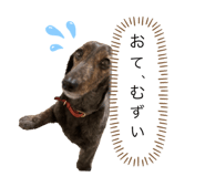 796950152