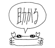 796967176