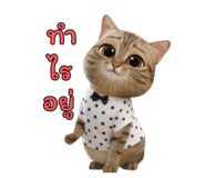 796978549
