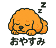 796982490
