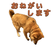 796988745
