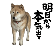 796988746
