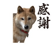 796988748