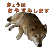 796988749
