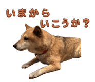 796988756