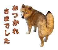 796988758