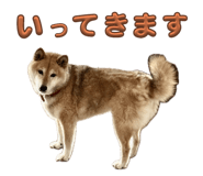 796988759